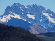 Alla Madonnina del Costone (1195 m) da Salmezza con tanti fiori-25mar24-FOTOGALLERY